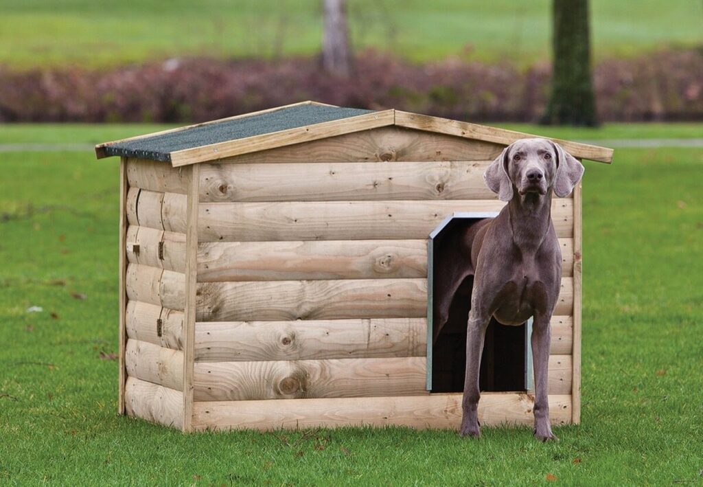 hondenverblijf labrador