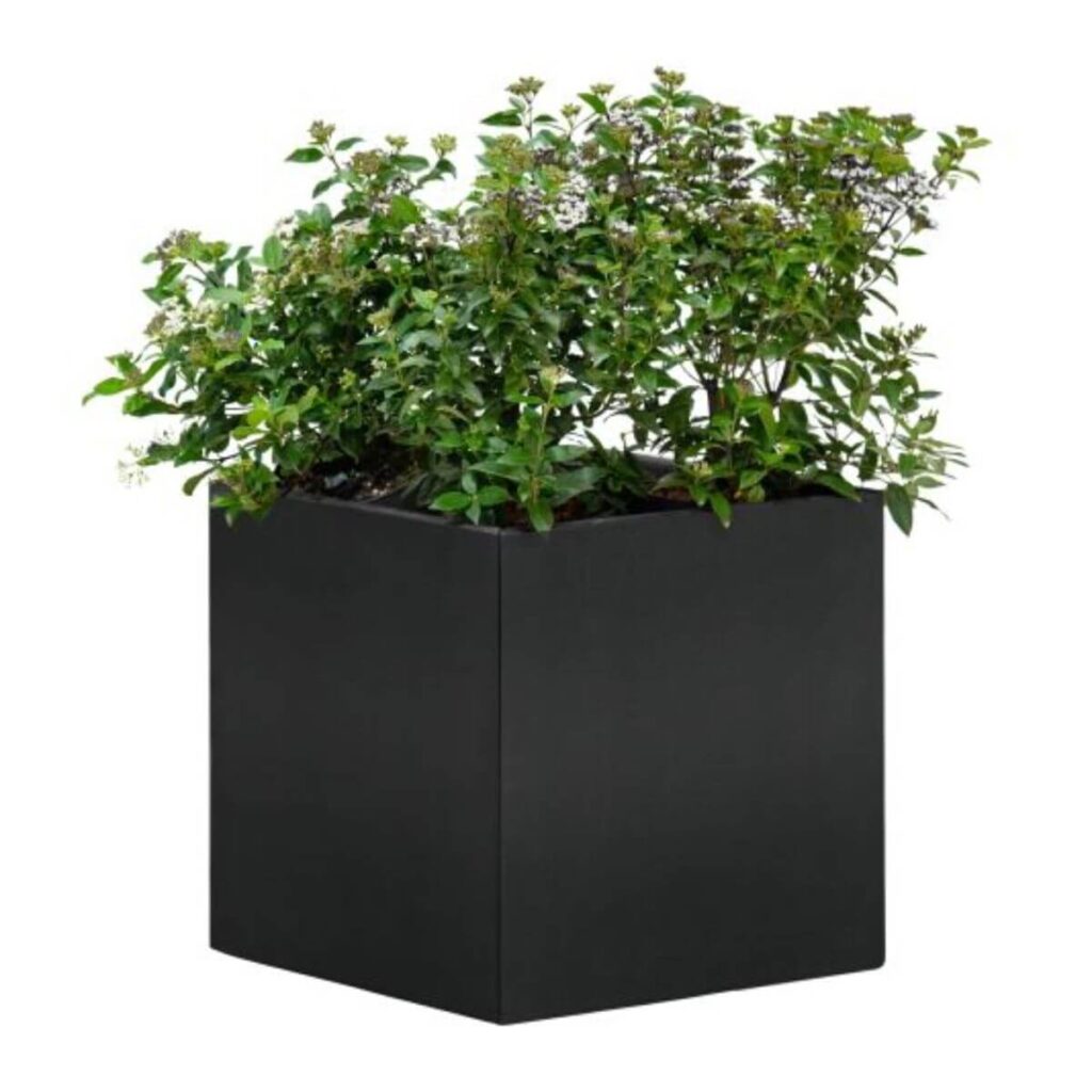 bloembak mohawk tuingigant