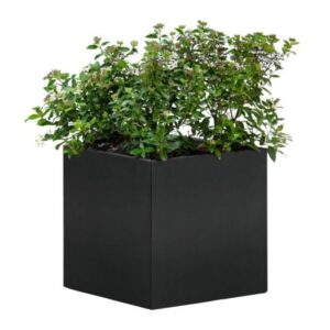 bloembak mohawk tuingigant